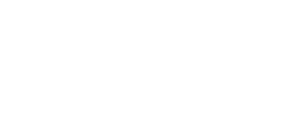 Advent Youth