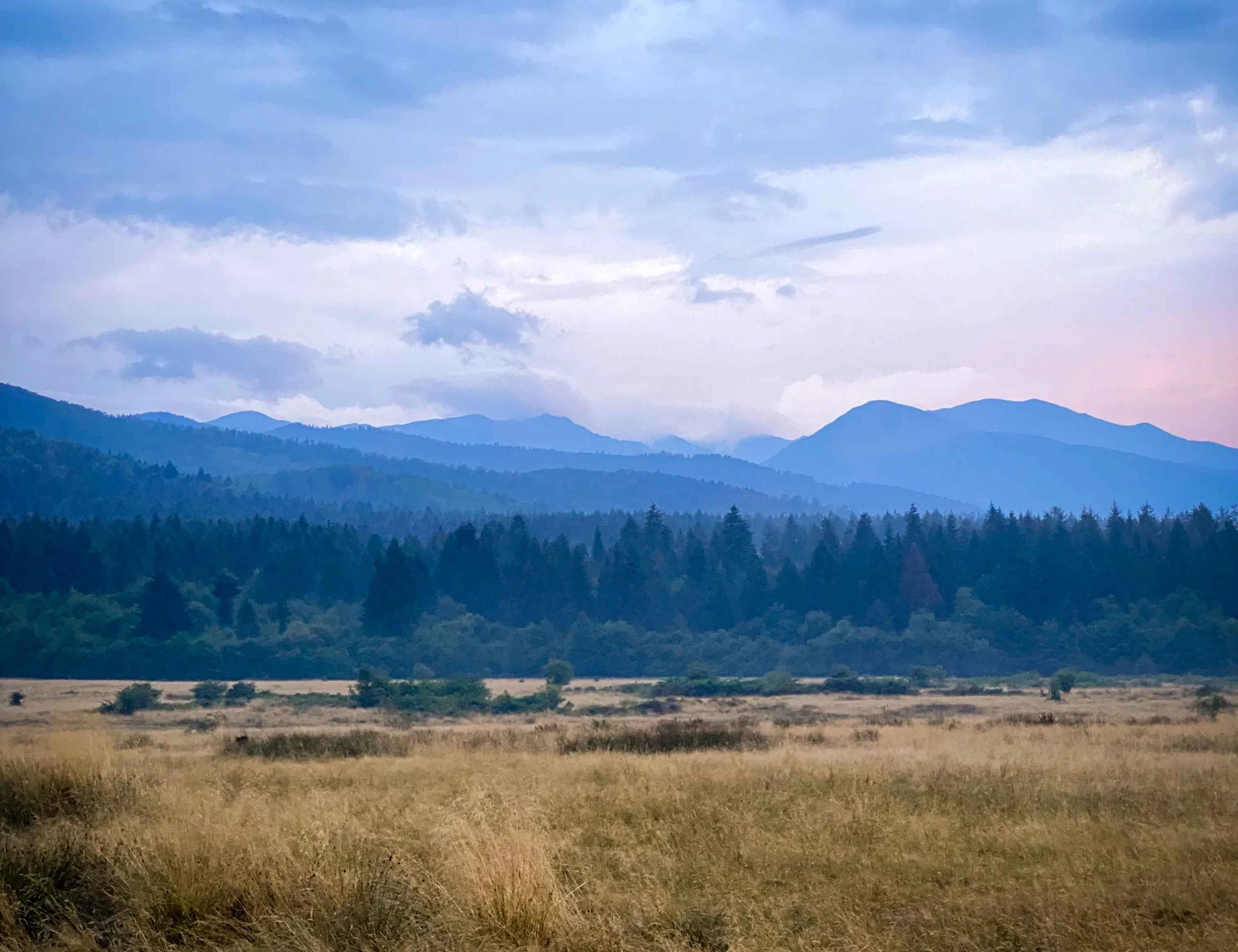 Fields and forest beneath the Făgăraș Mountains.